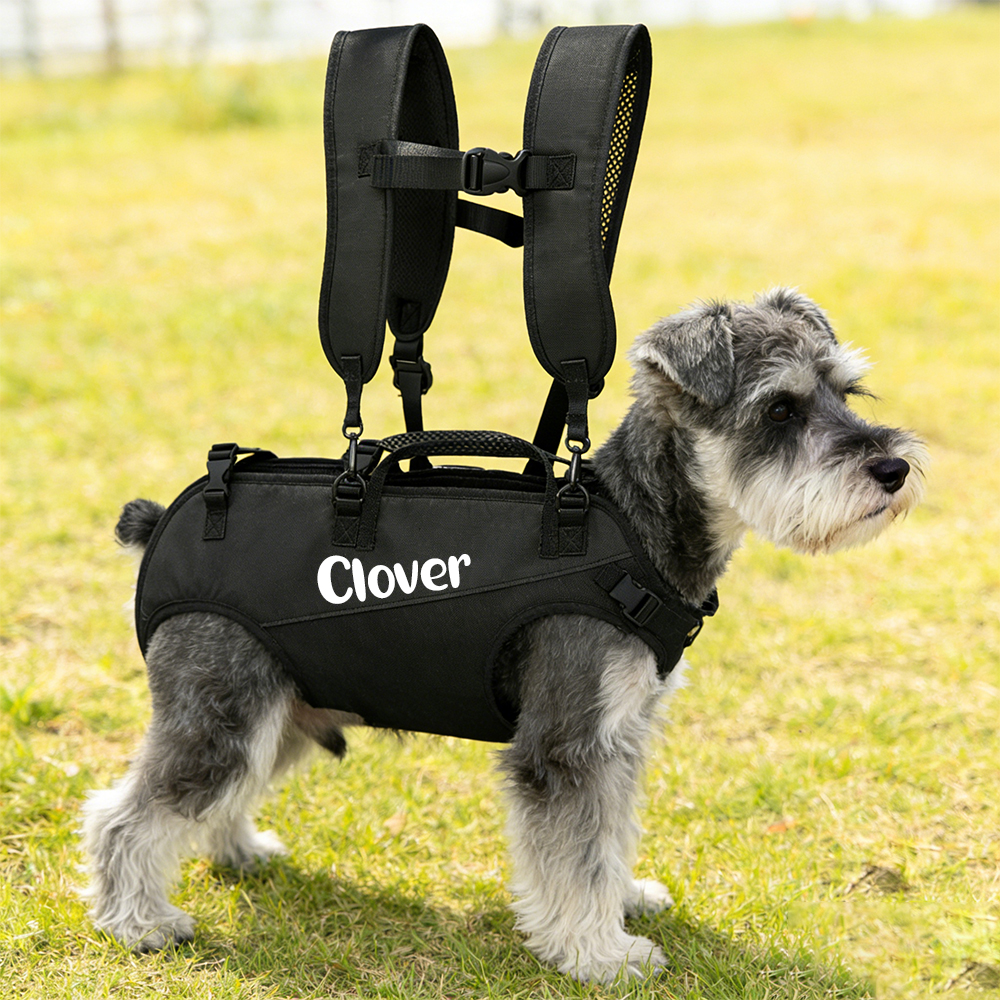 Personalized Name Outdoor Portable Breathable Pet Backpack | inAccs27