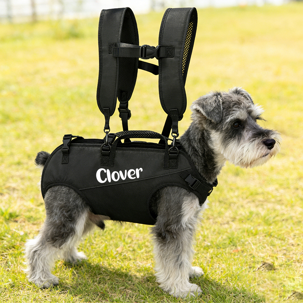 Personalized Name Outdoor Portable Breathable Pet Backpack | inAccs27
