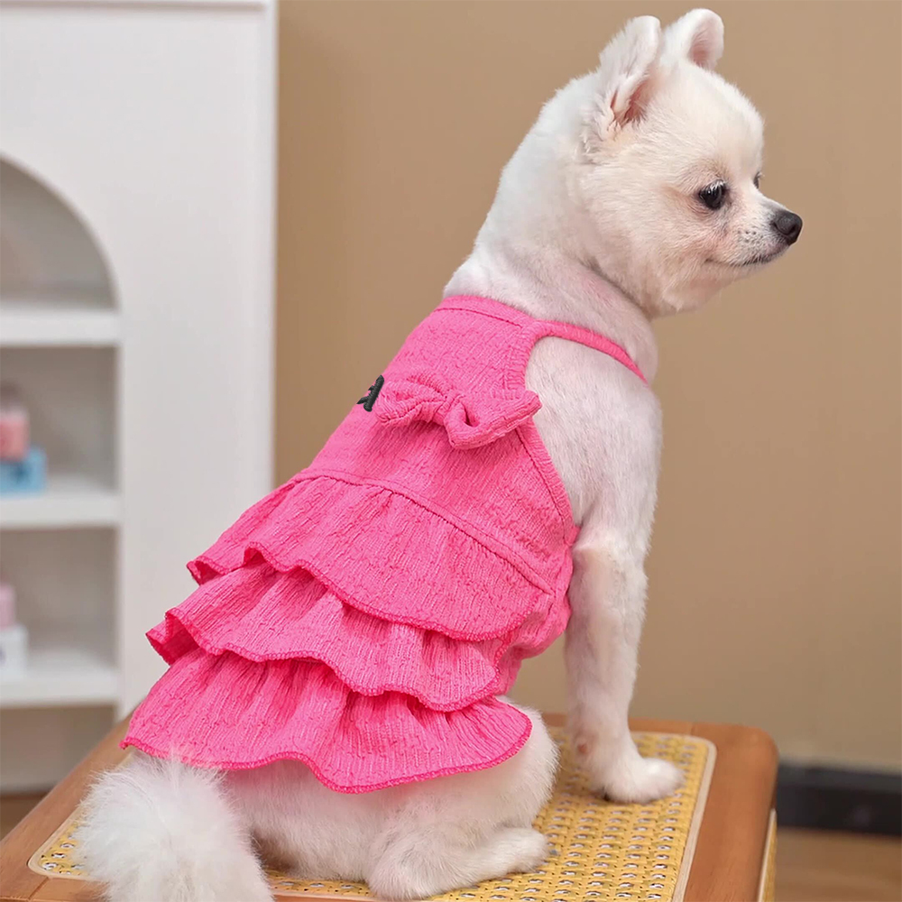 Personalized Embroidered Name Pet Color Princess Dress | inCloth41