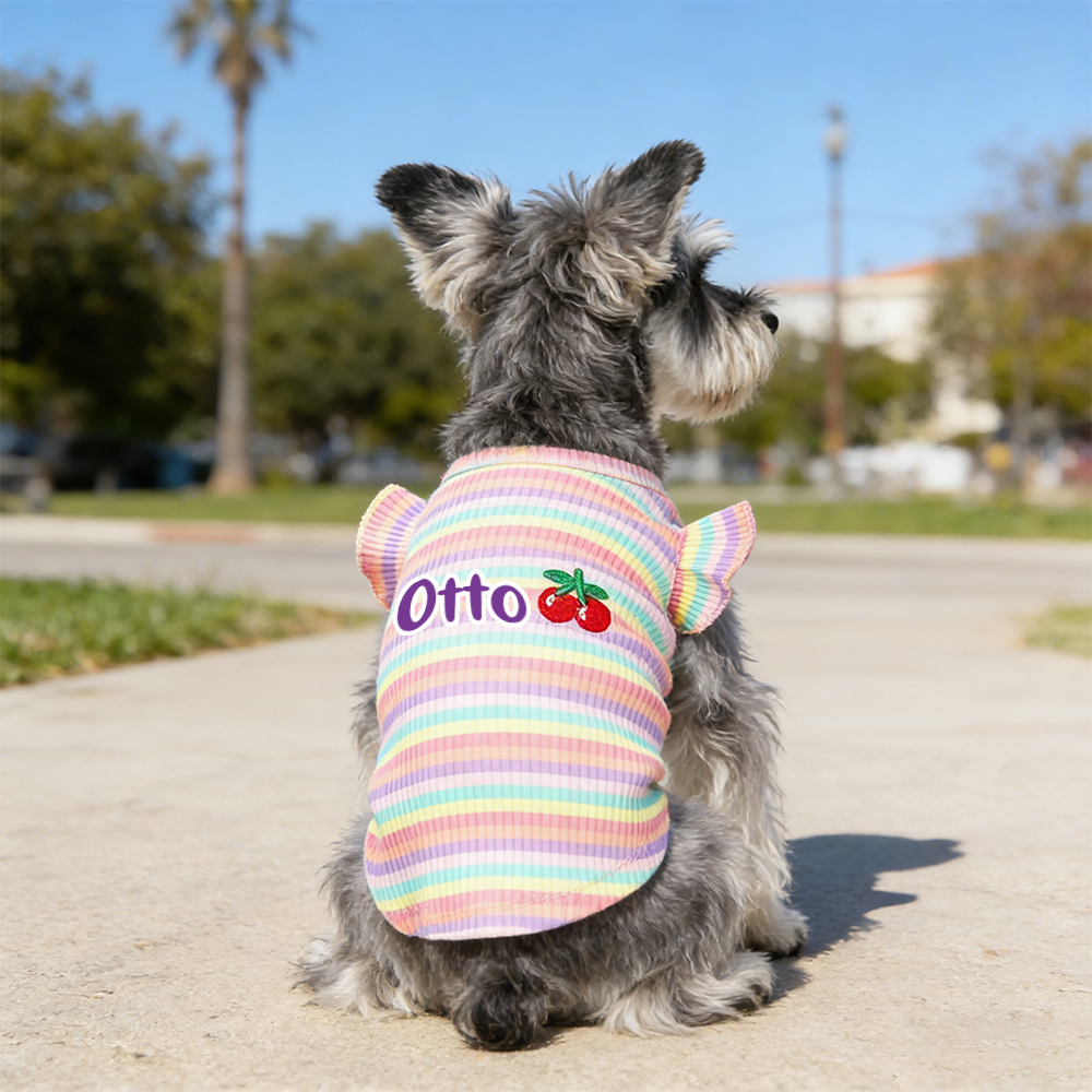 Personalized Name Pet Summer Rainbow Striped Dress | inCloth69