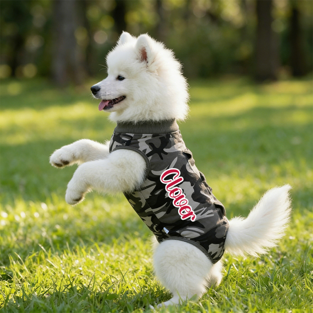 Personalized Name Anti Lick Pet Onesie | inCloth72