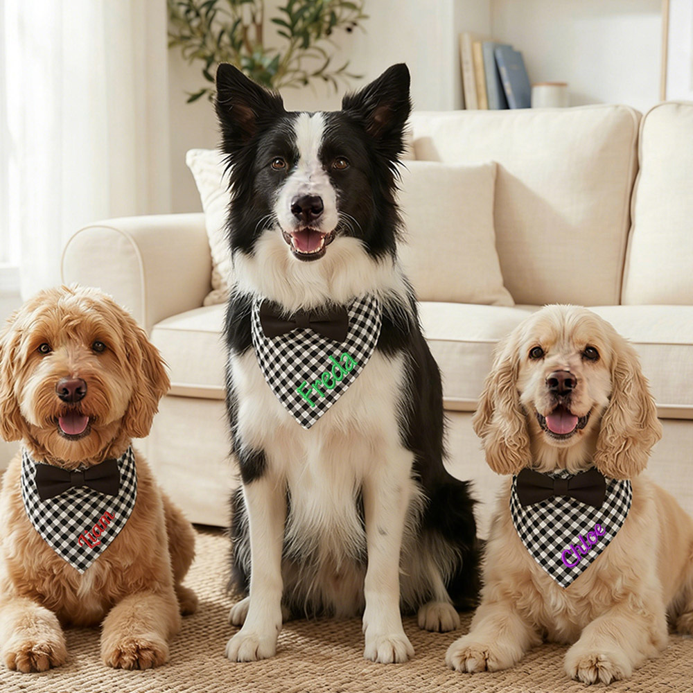 Personalized Embroidered Name Pet Bandana | inAccs41