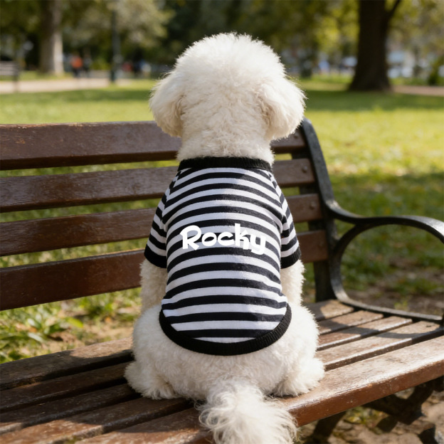 Personalized Name Summer Striped Pet T-Shirt | inCloth76