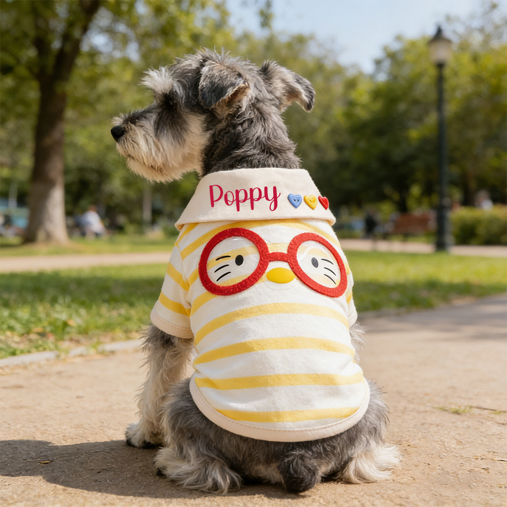 Personalized Name Striped Pet T-Shirt | inCloth87