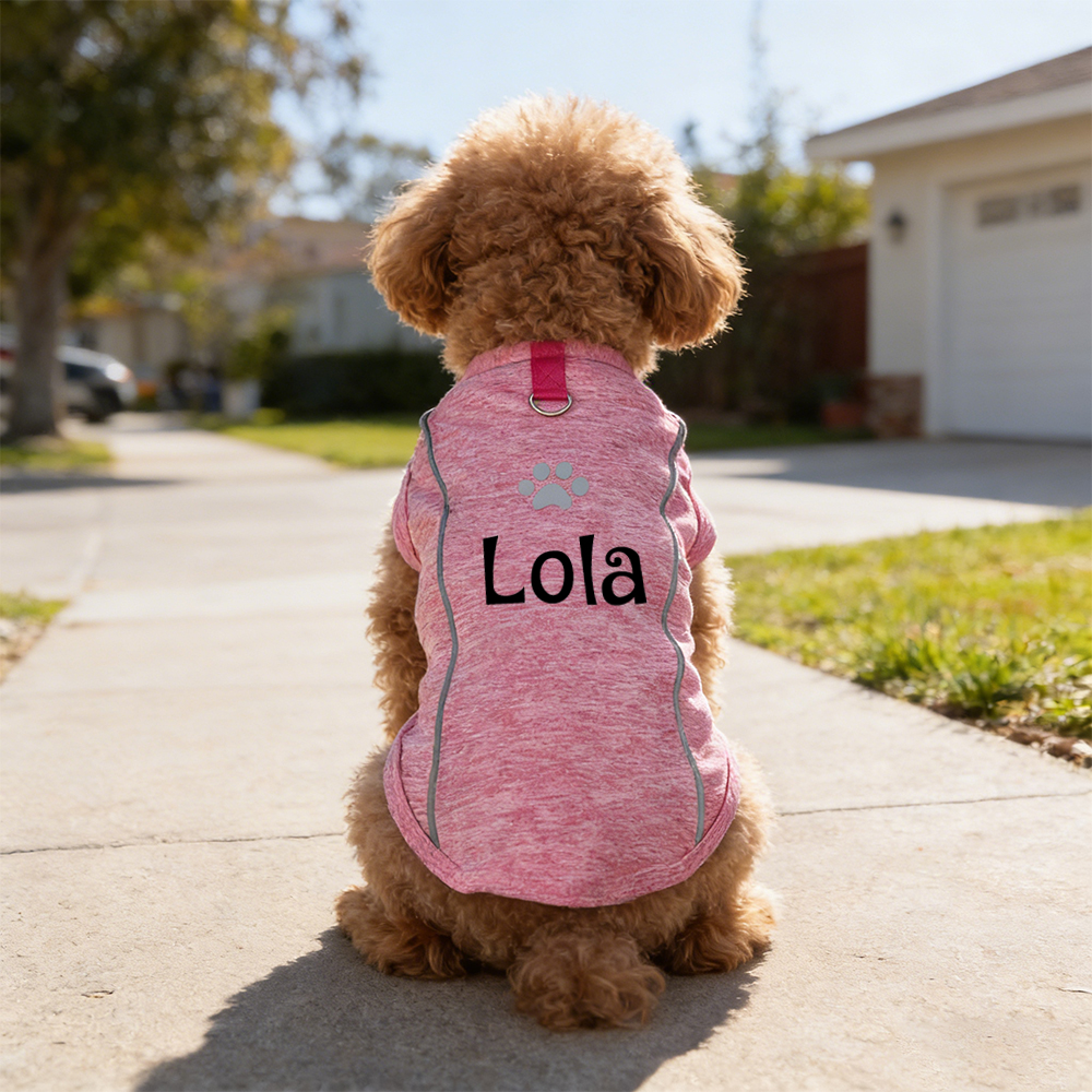 Personalised Summer Breathable Reflective Pet Shirt | inCloth88