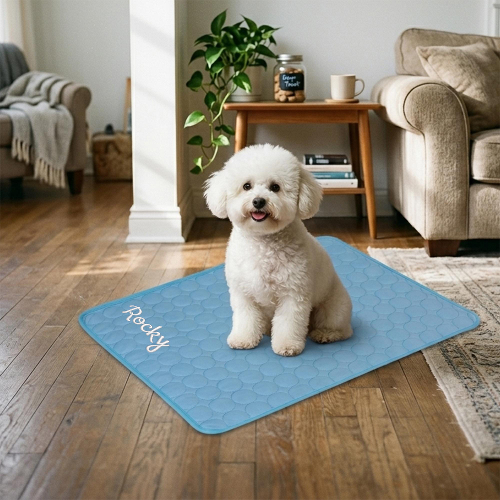 Personalized Embroidered Name Pet Summer Cooling Mat | inaccs45