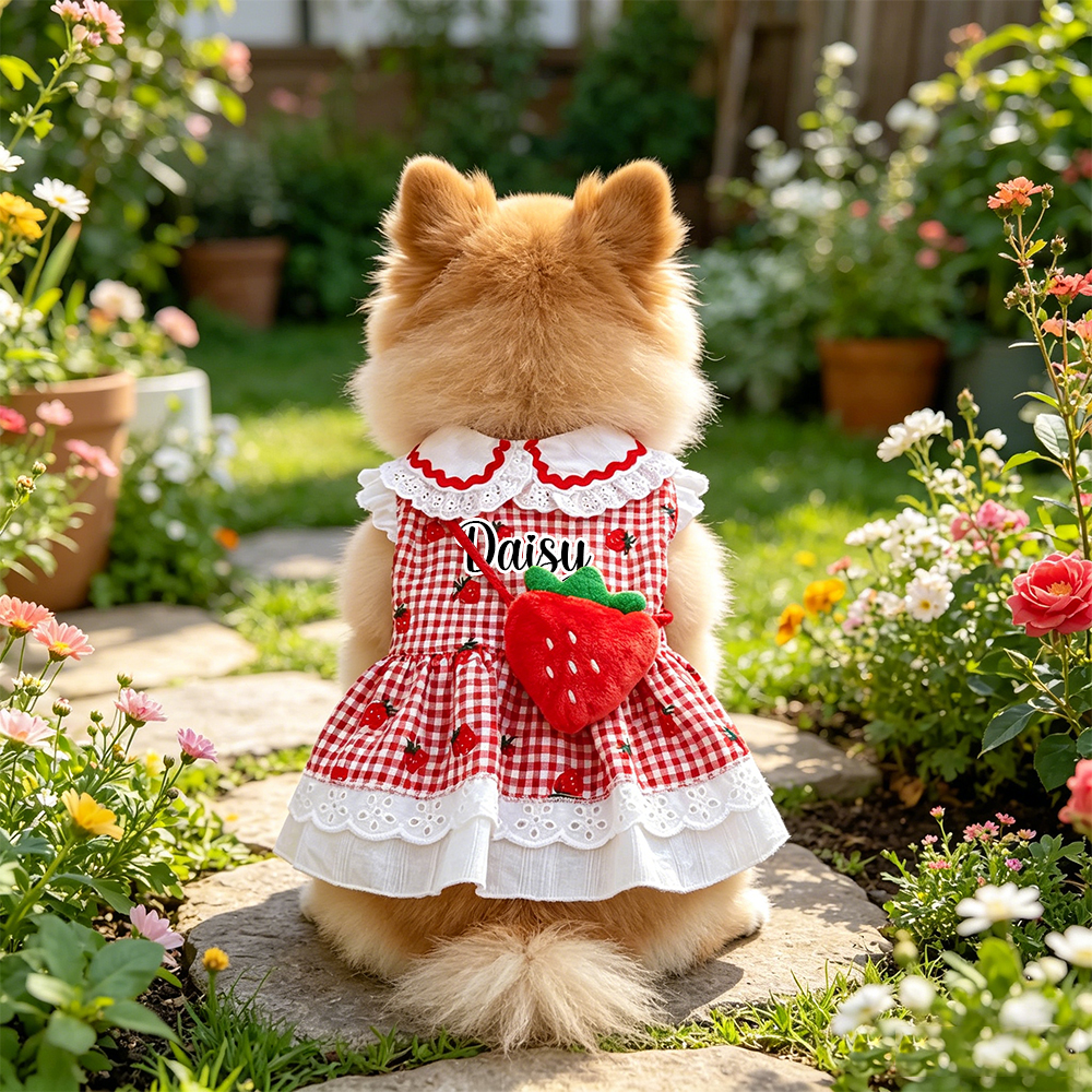 Personalized Name Strawberry Princess Pet Dress | inCloth93