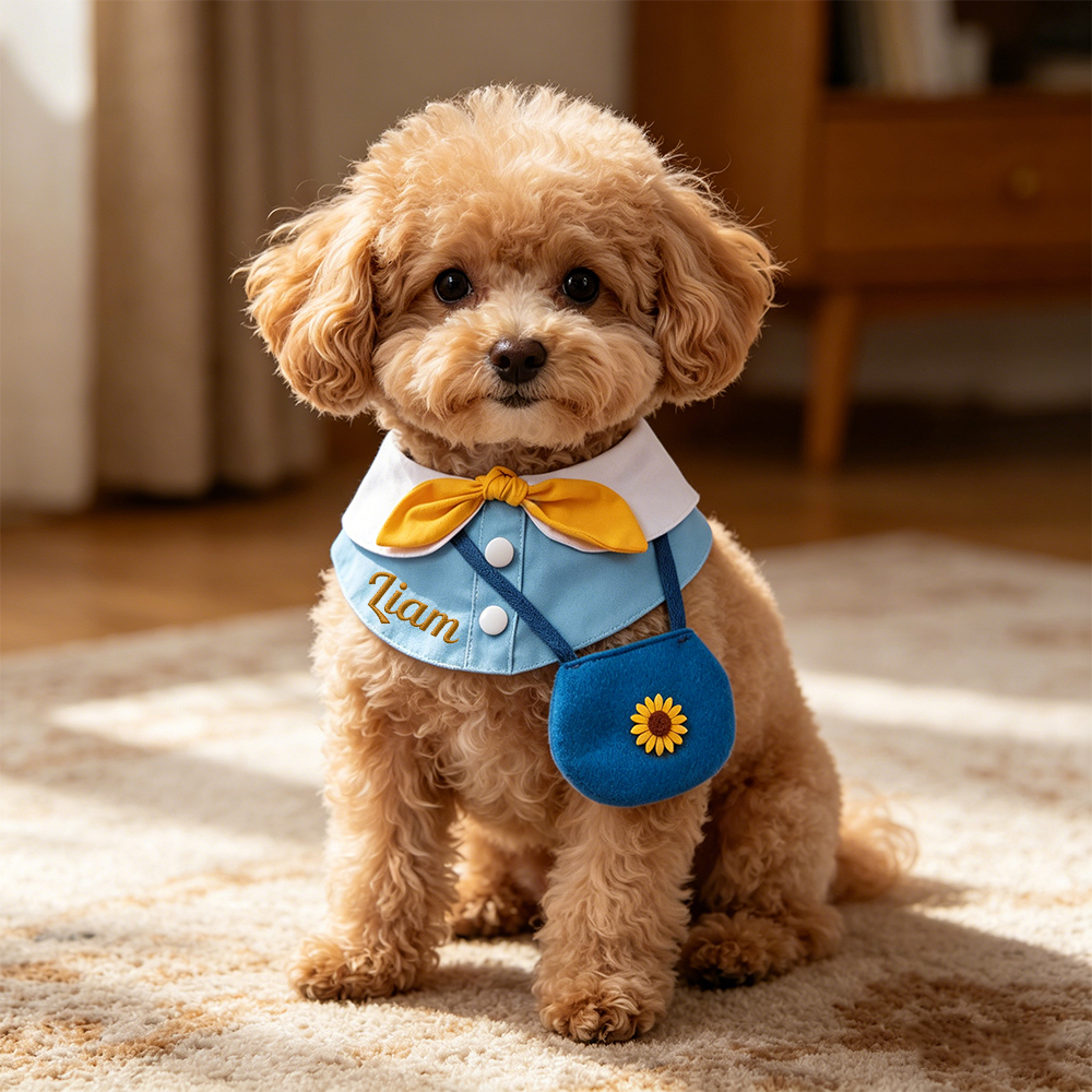 Personalized Embroidered Name Pet Collar | inAccs48