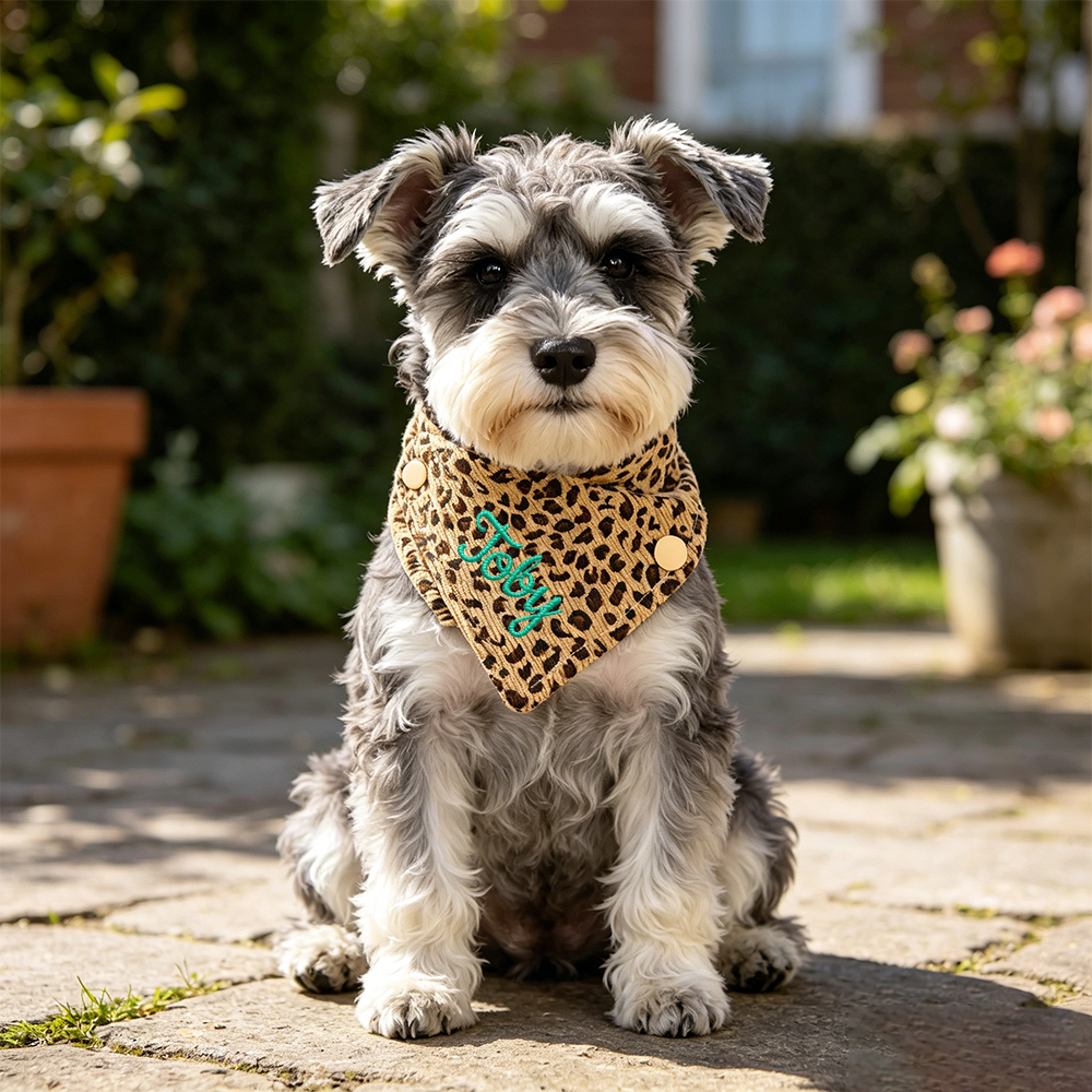 Personalized Embroidered Name Pet Bandana | inAccs51