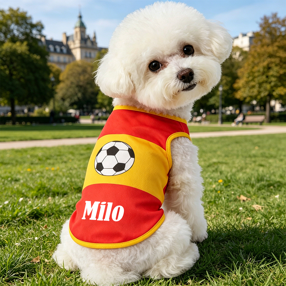Personalized Pet Match Day Soccer Jersey | inCloth102