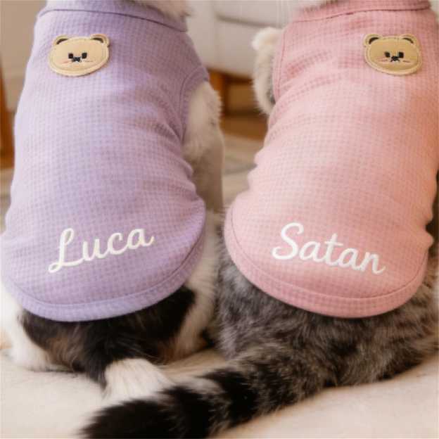 Personalized Embroidered Name Summer Thin Breathable Sweatshirt | inCloth79