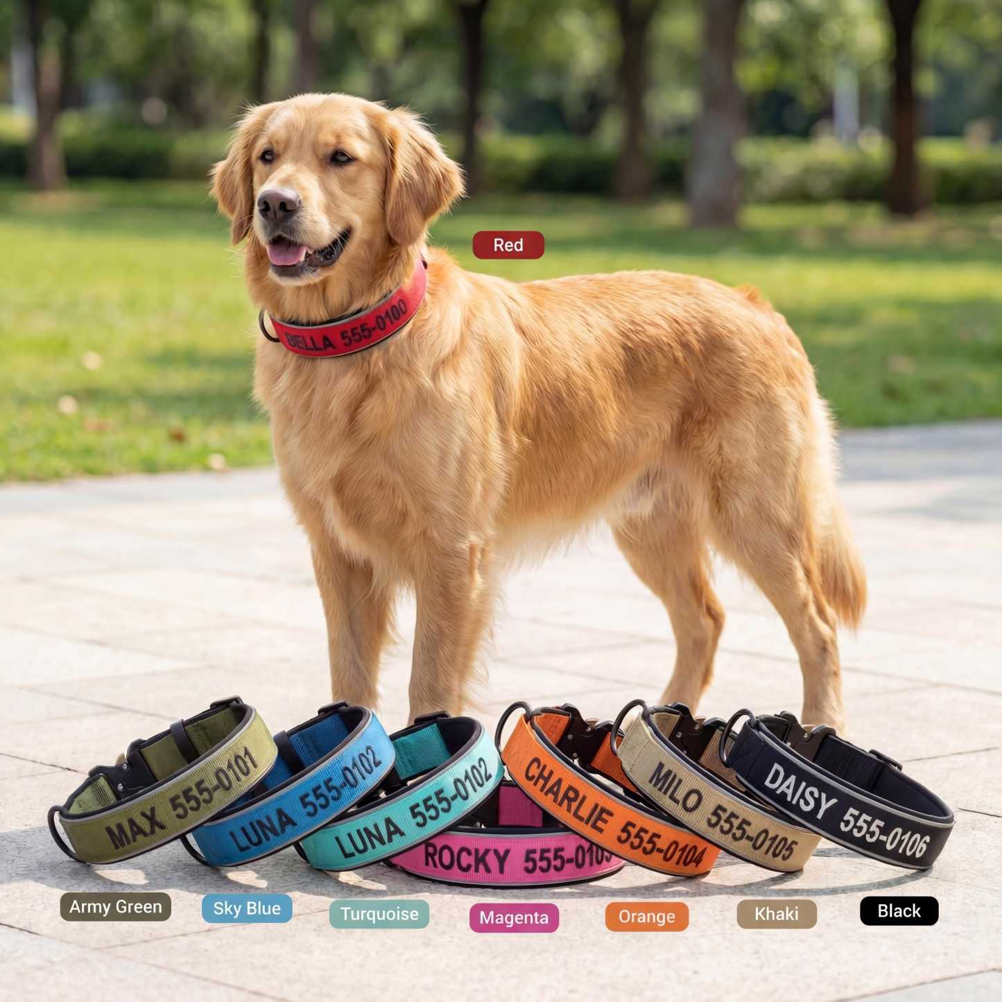 Personalized Embroidered Name Pet Collar with Phone Number | inAccs42