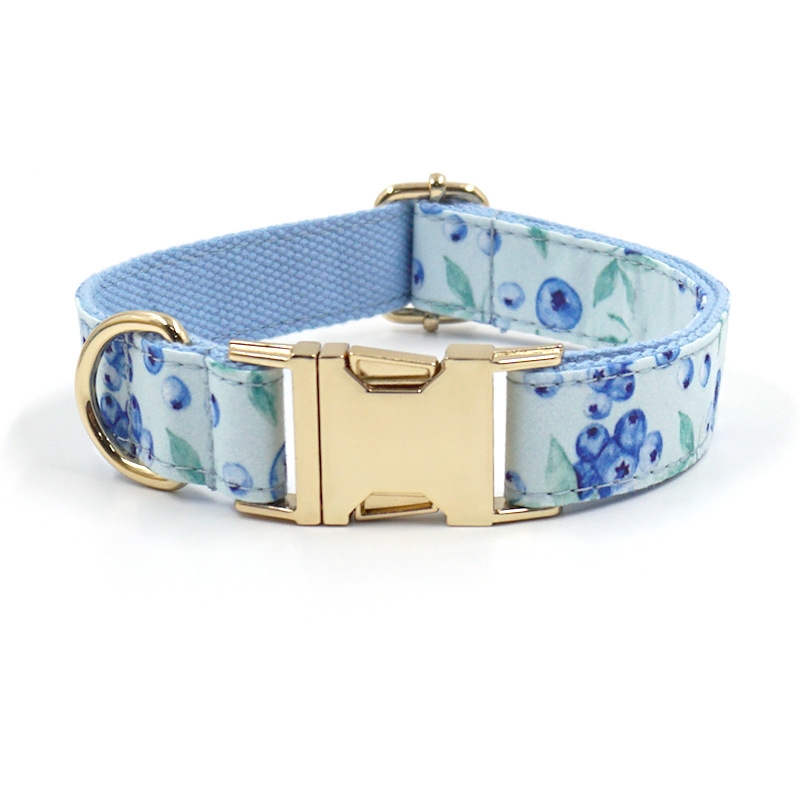 Personalized Embroidered Name Pet Collar with Birthstone Charm | inAccs37