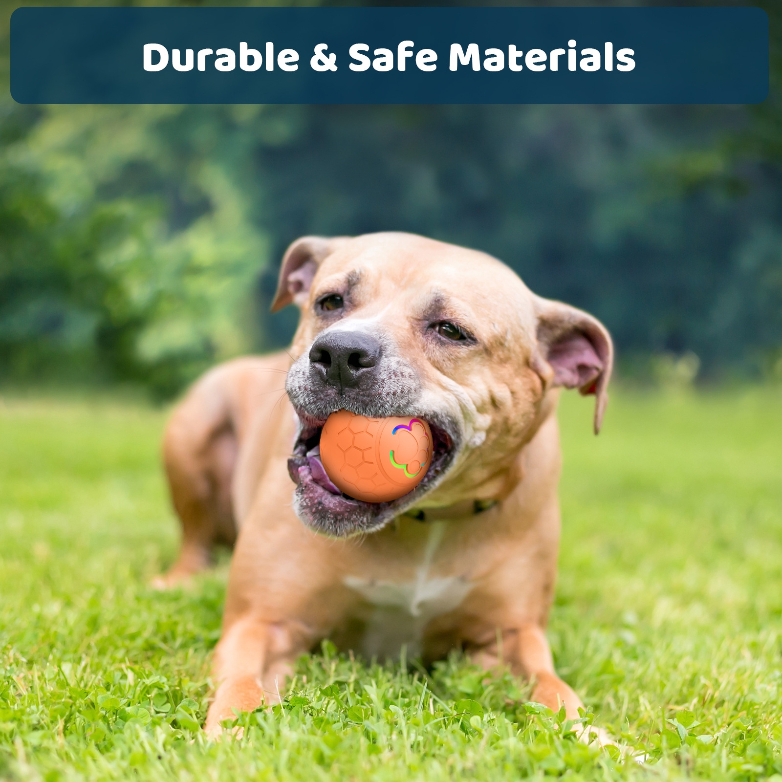 Personalized Rechargeable Electronic Pet Bouncing Ball Toy | inToy08