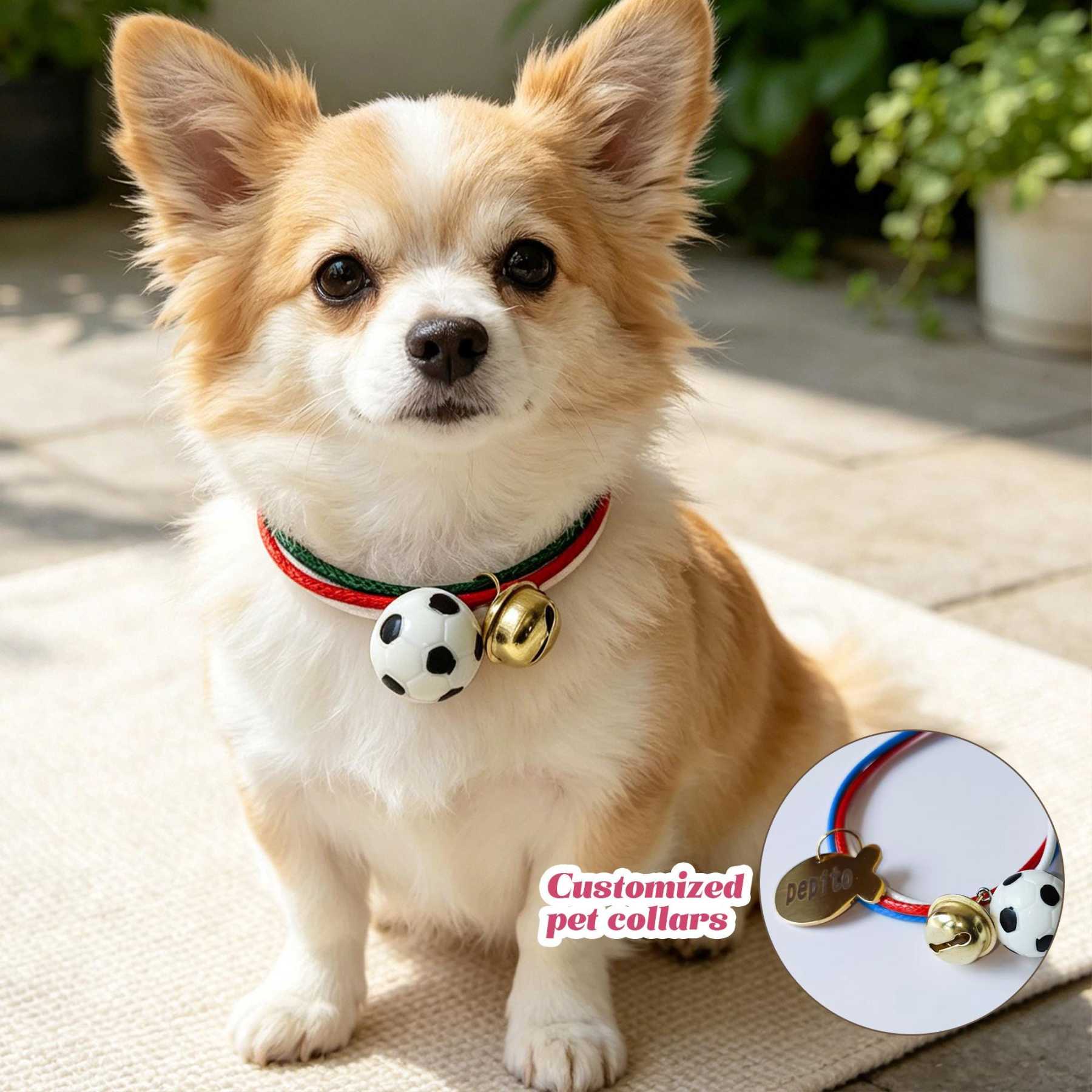 Personalized Engraved Name Soccer Pet Collar | inAccs50
