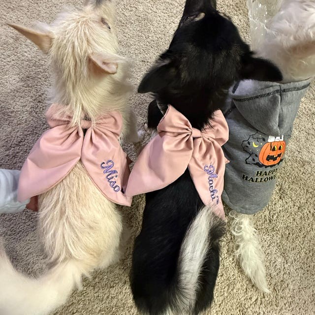 Personalized Name Embroidered Pet Bowknot Chest Harness Leash | inAccs63