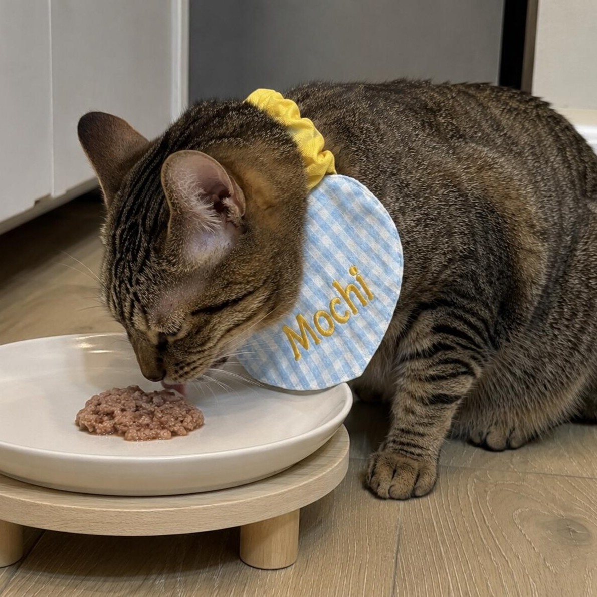 Personalized Embroidered Heart-Shaped Pet Bib | inAccs66
