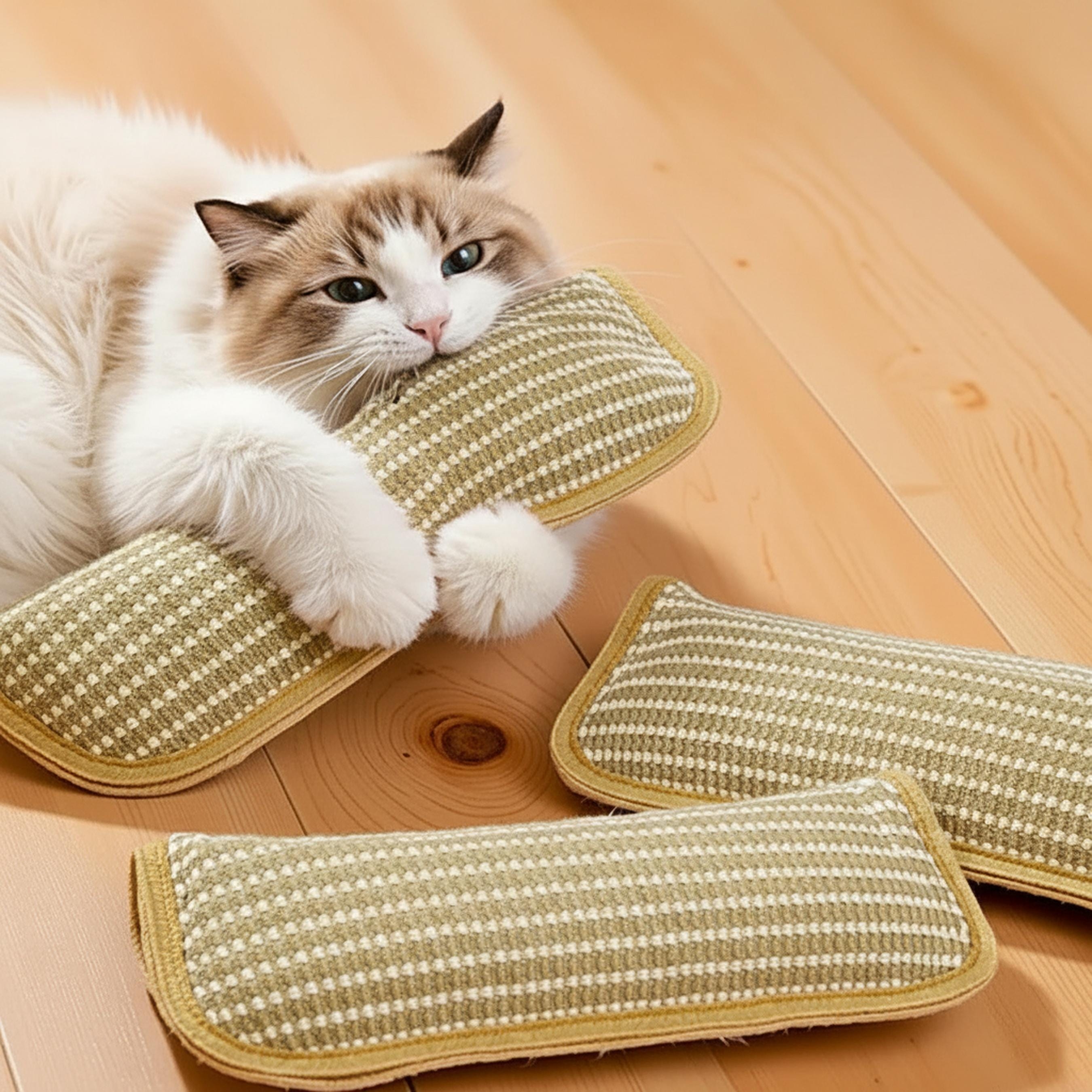 Natural Sisal Catnip Chew Toy for Indoor Cats | inToy01