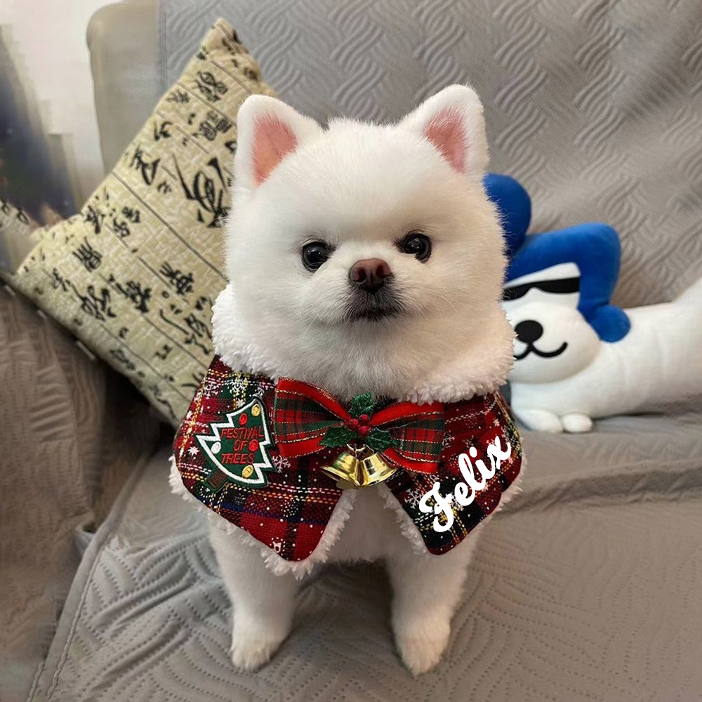 Personalized Christmas Pet Scarf with Plush Collar | KKPet315
