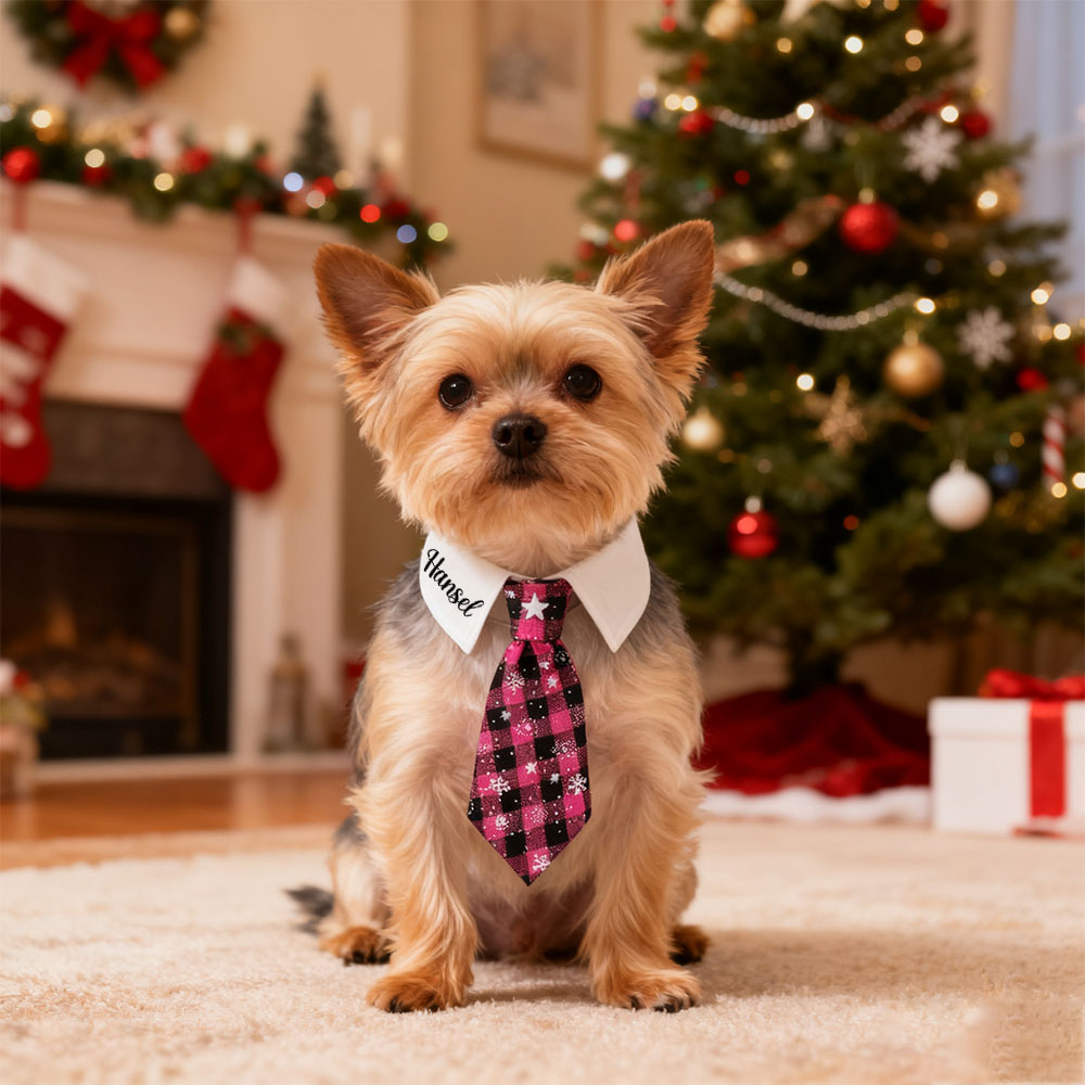 Personalized Name Christmas Pet Tie | KKPet327