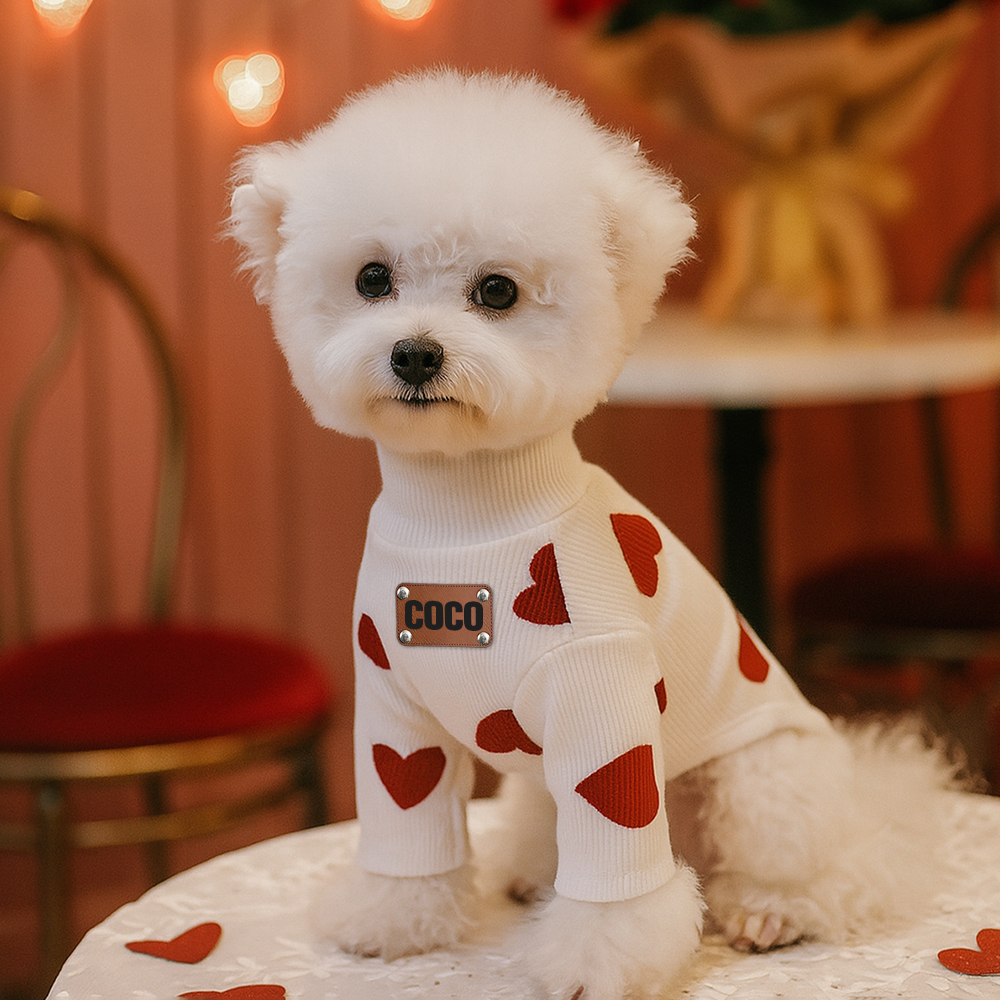 Personalized Leather Patch Name Valentine’s Day Pet Sweater | KKPet383