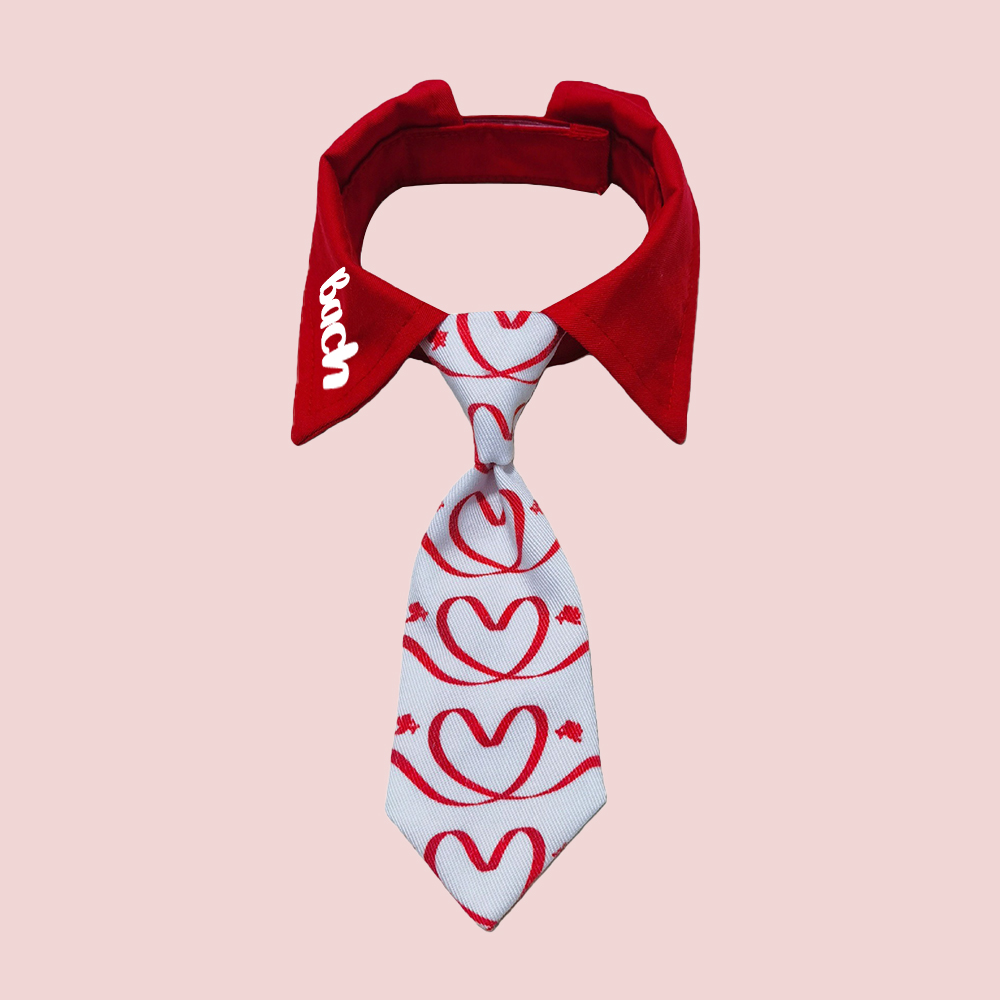Personalized Pet Valentine's Day Tie Collar | inAccs01