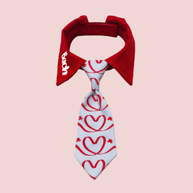 Personalized Pet Valentine's Day Tie Collar | inAccs01