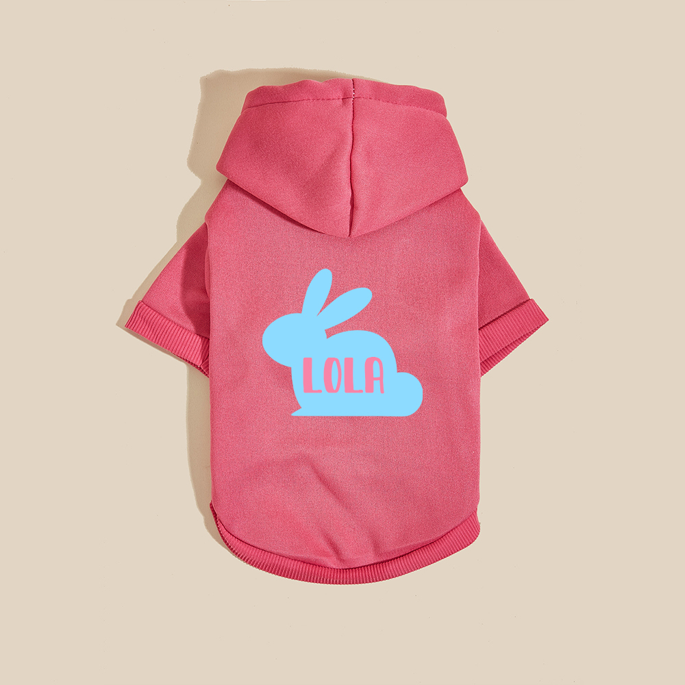 Personalized Name Easter Bunny Pet Hoodie | inCloth03