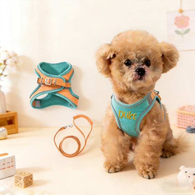Personalized Embroidered Name Pet Harness with Leash | inAccs09