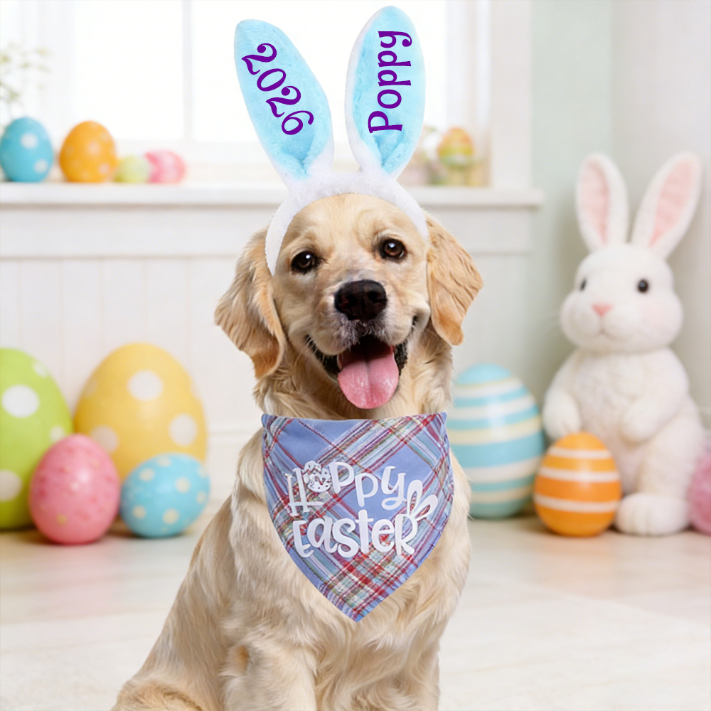 Personalized Easter Pet Bunny Headband and Bandana Set | inAccs11