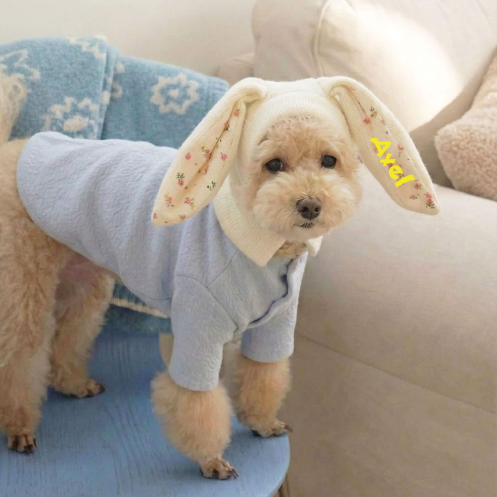 Personalized Easter Pet Knitted Bunny Ear Hat | inAccs14
