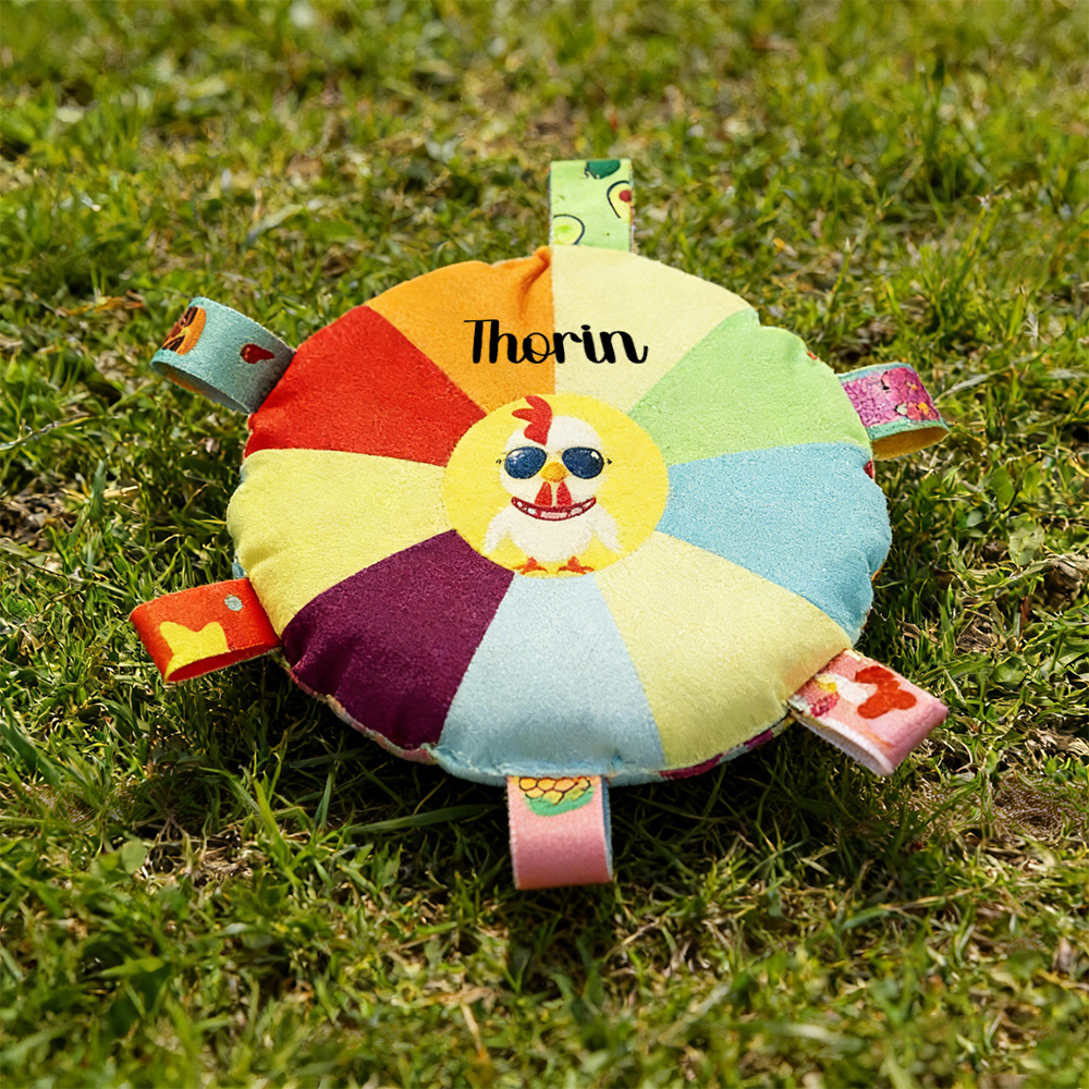 Personalized Pet Colorful Plush Chew Toy | inToy02