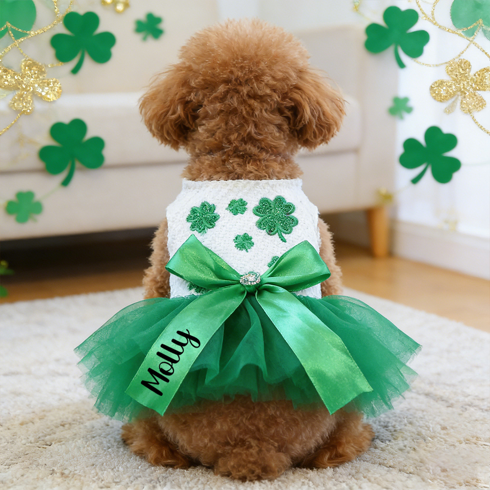 Personalized Pet Lucky St. Patrick's Day Dress | inCloth11