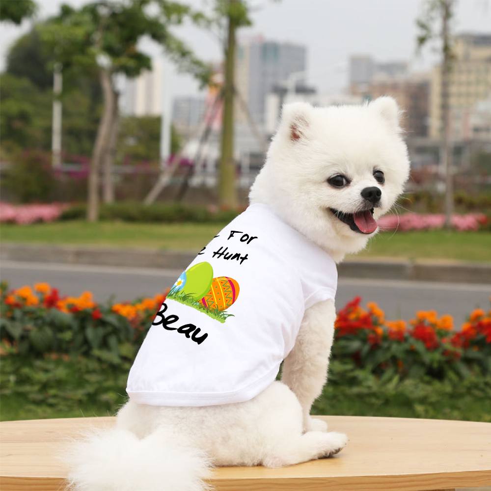 Personalized Easter egg hunt Pet Shirt | inCloth13