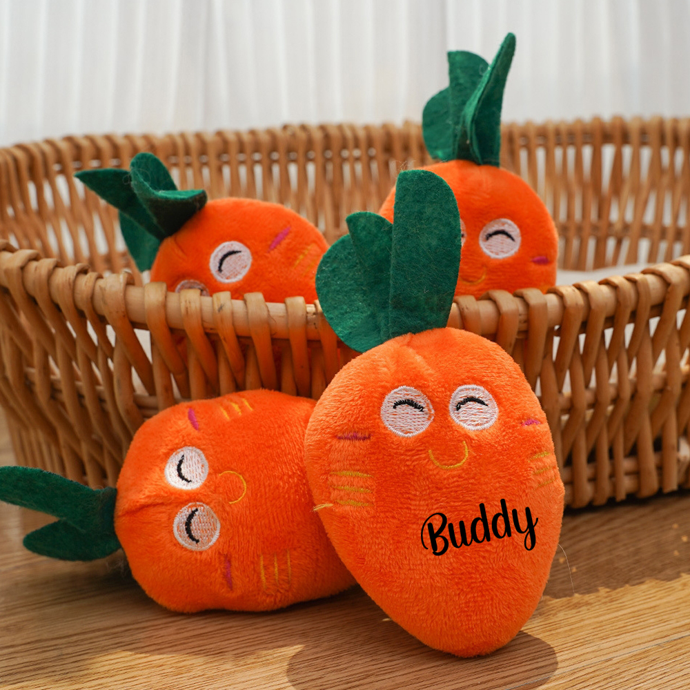 Personalized Pet Squeaky Carrot Plush Toy  | inToy06