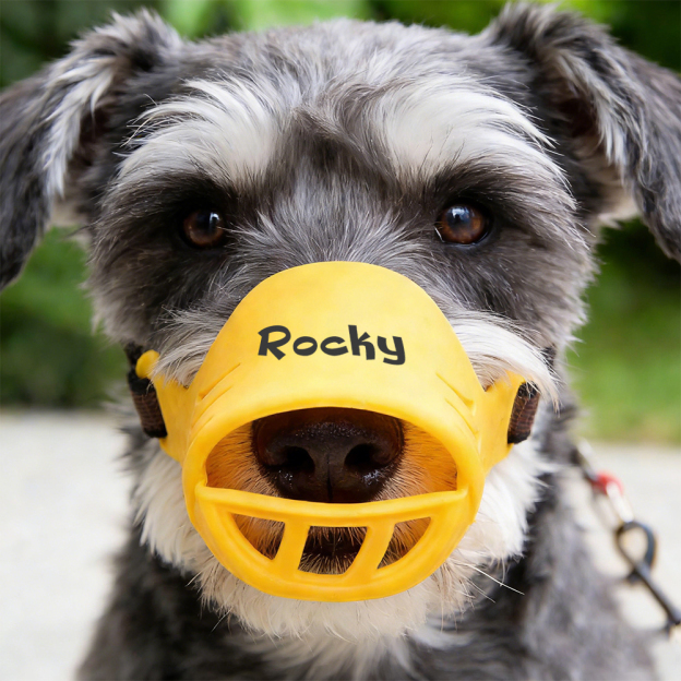 Personalized Silicone Dog Safe Anti-Biting Chewing Barking Muzzle | inAccs22