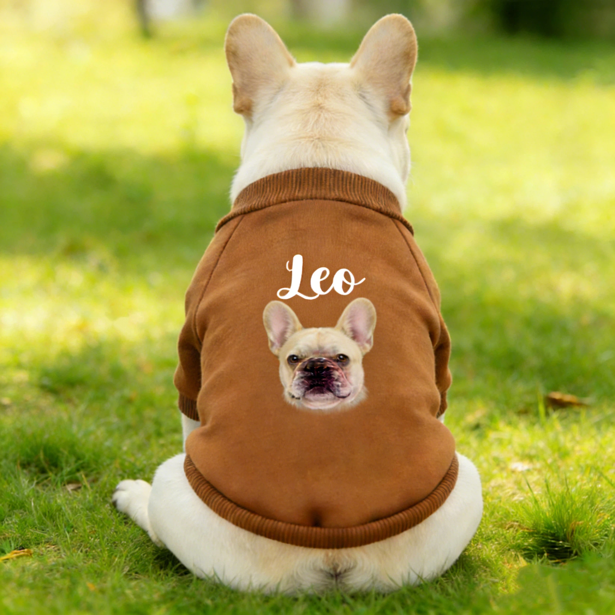 Personalized Name Pet Sweatshirt With Photo | inCloth26