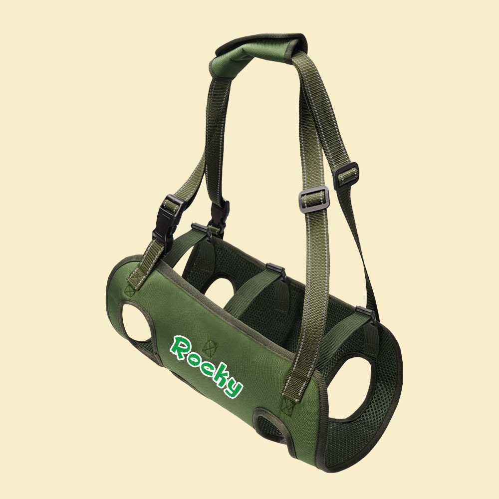 Personalized Name Dog Walking Aid Harness | inAccs24