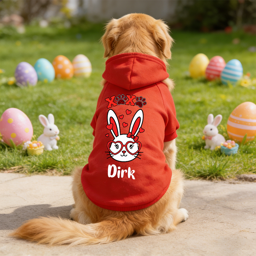 Personalized Name Easter Pet Bunny Hoodie | inCloth29