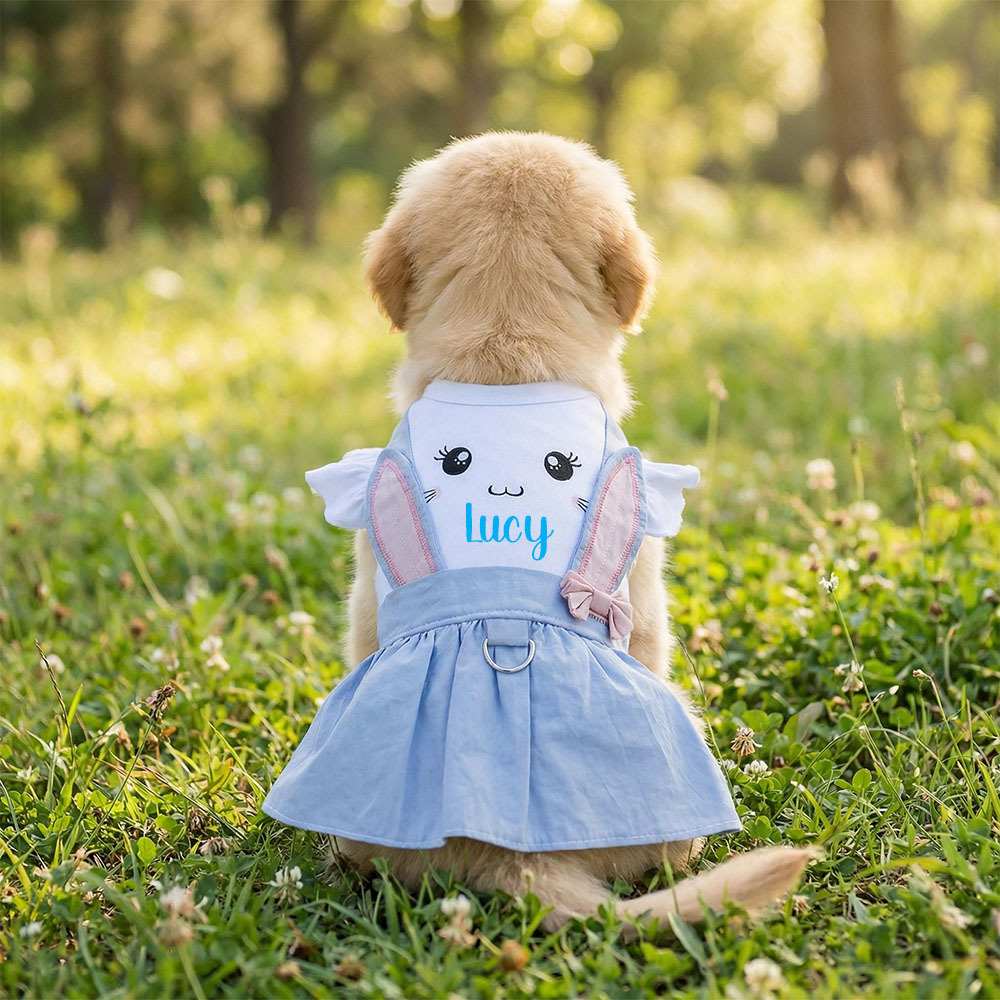 Personalized Name Easter Pet Bunny Princess Outfit | inCloth33