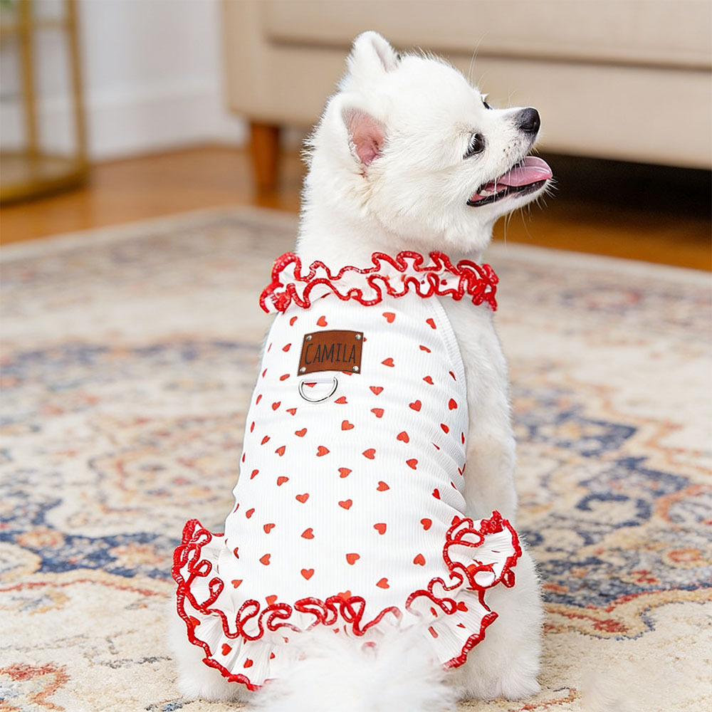 Personalized Leather Patch Name Pet Dress | inCloth32