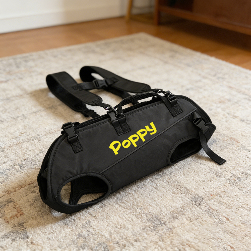 Personalized Name Outdoor Portable Breathable Pet Backpack | inAccs27