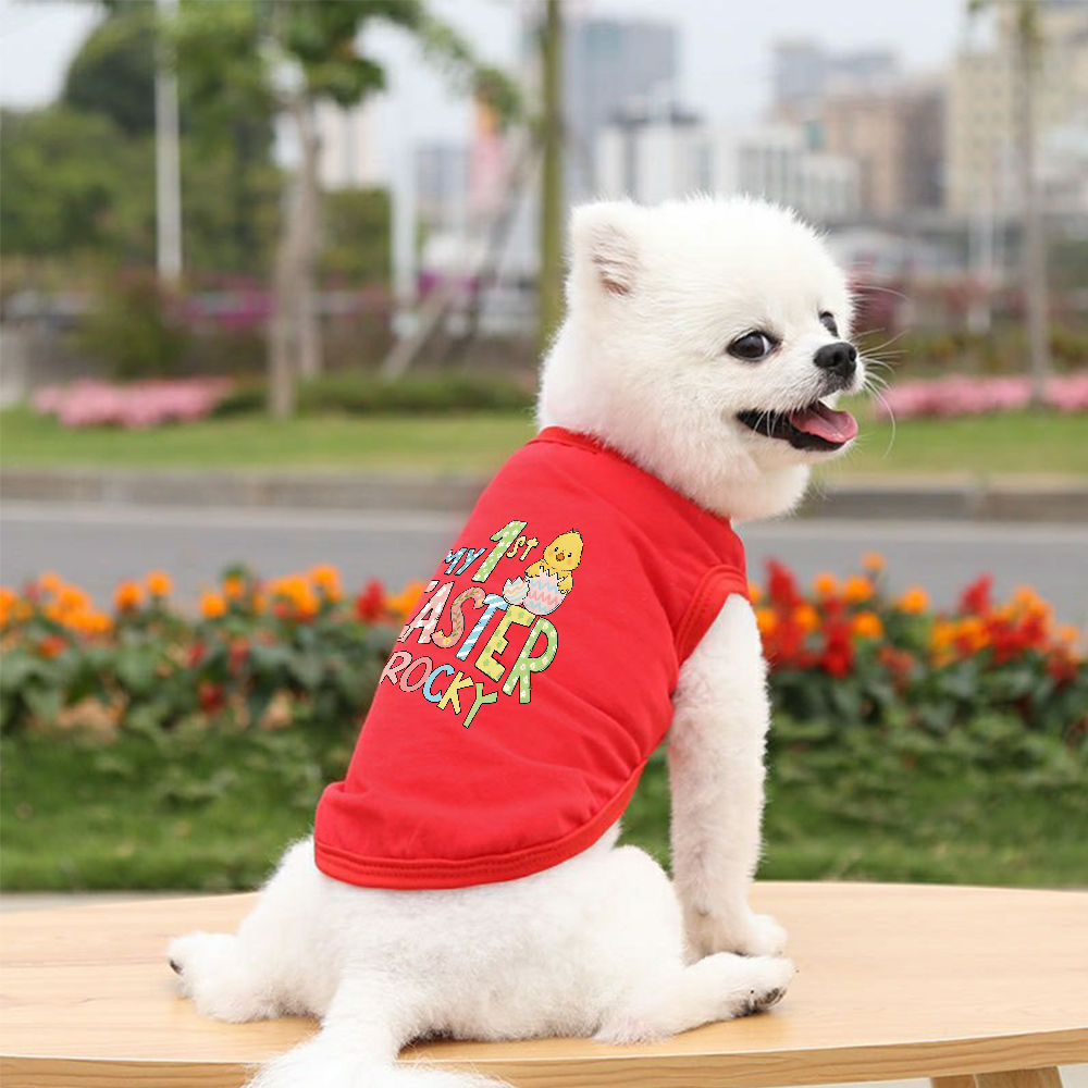 Personalized Pet's First Easter Shirt | inCloth35