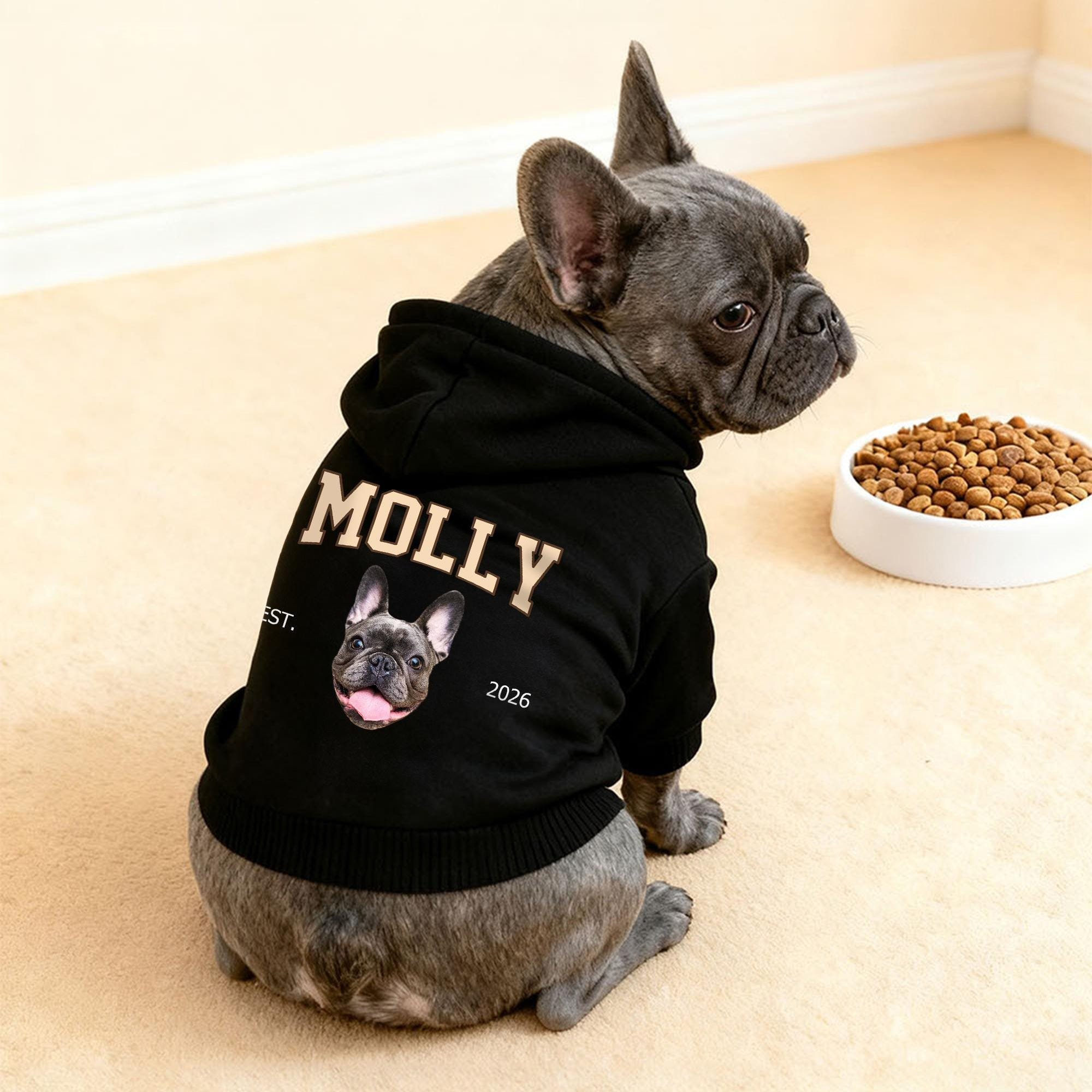 Personalized Funny Face Photo Soft Pet Hoodie | inCloth44