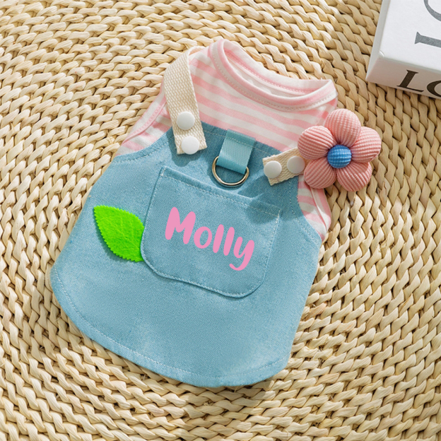 Personalized Name Pet Denim Overalls Dress  | inCloth49