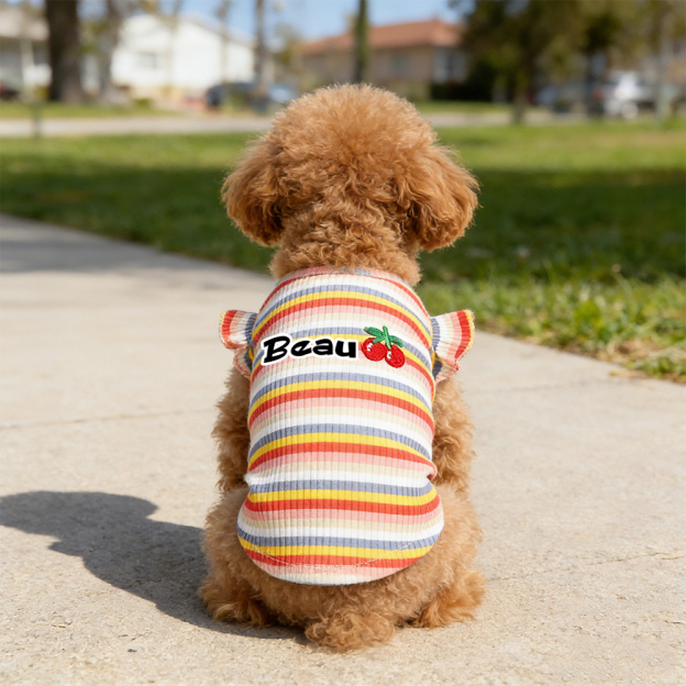 Personalized Name Pet Summer Rainbow Striped Dress | inCloth69