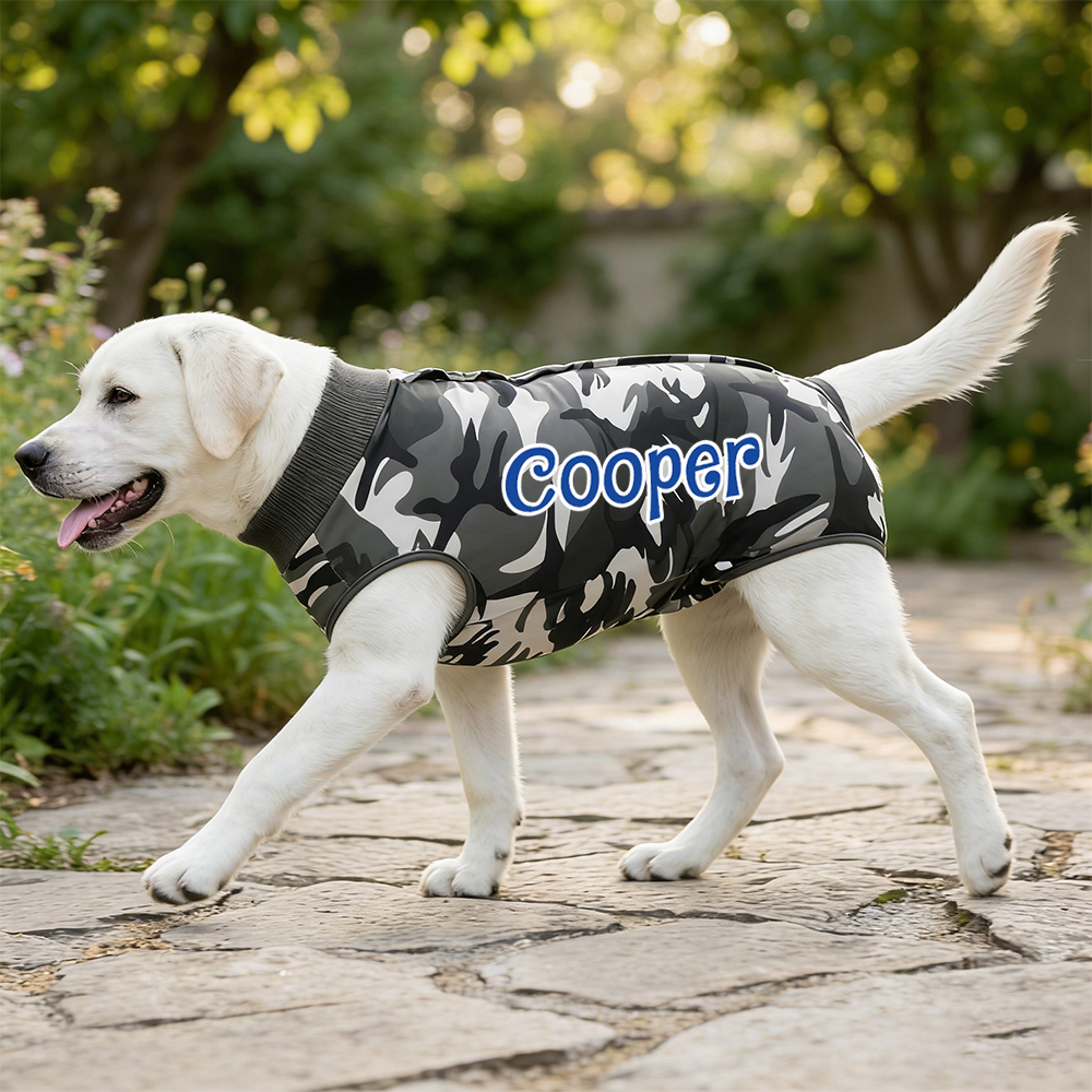 Personalized Name Anti Lick Pet Onesie | inCloth72