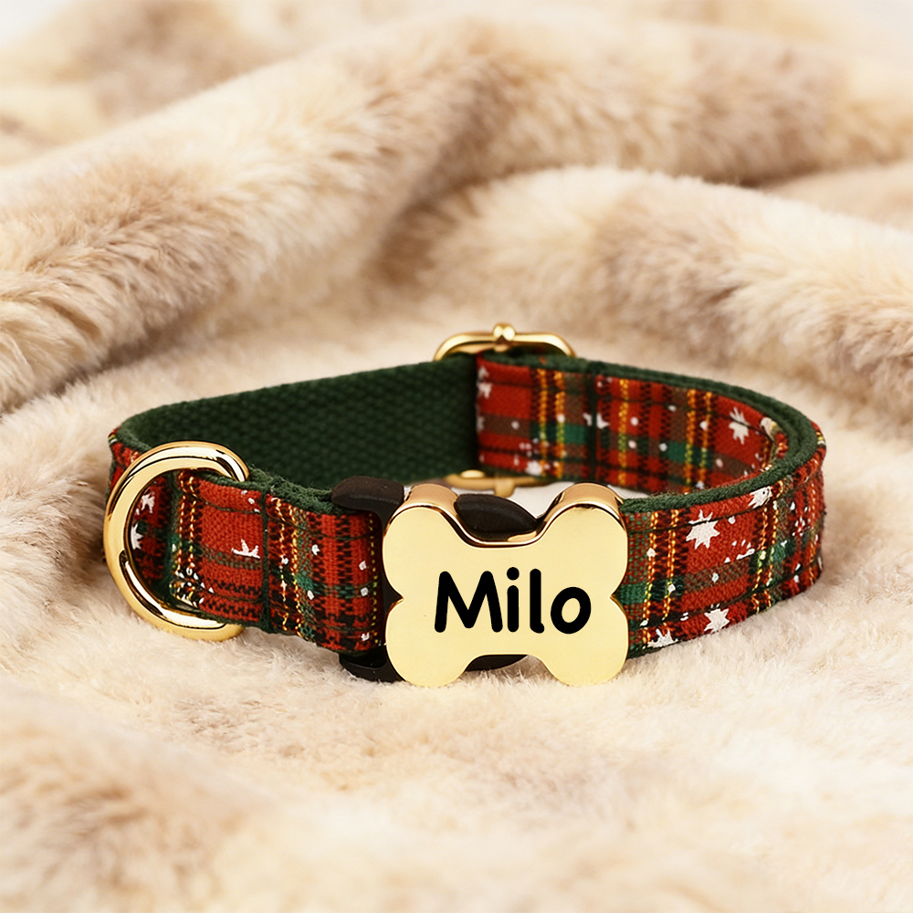 Personalized Engraved ID Pet Collar | inAccs40