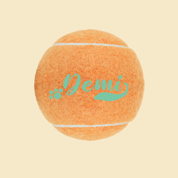 Personalized Name Pet Tennis Ball | inToy09