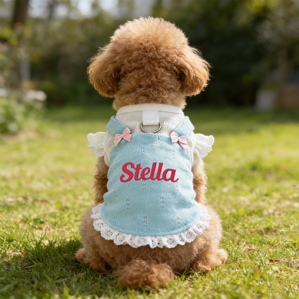 Personalized Embroidered Name Bowknot Dess | inCloth85